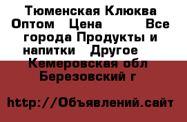 Тюменская Клюква Оптом › Цена ­ 200 - Все города Продукты и напитки » Другое   . Кемеровская обл.,Березовский г.